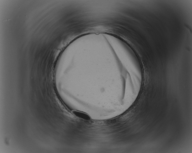 X0000103241477200809251316