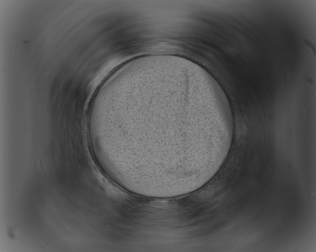 X0000103241478200809251316