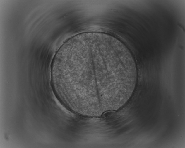 X0000103241479200809251316