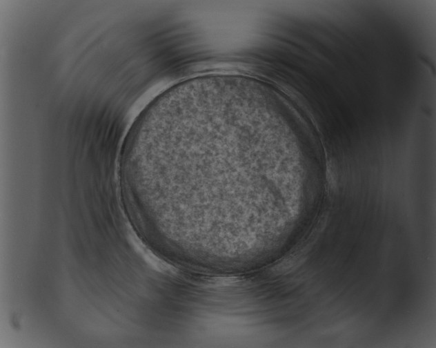 X0000103241482200809251316