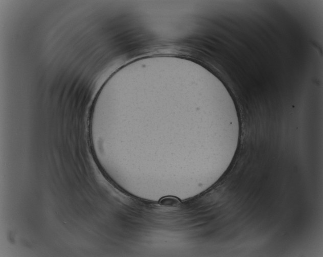 X0000103241483200809251316