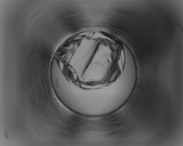 X0000103241484200809251316