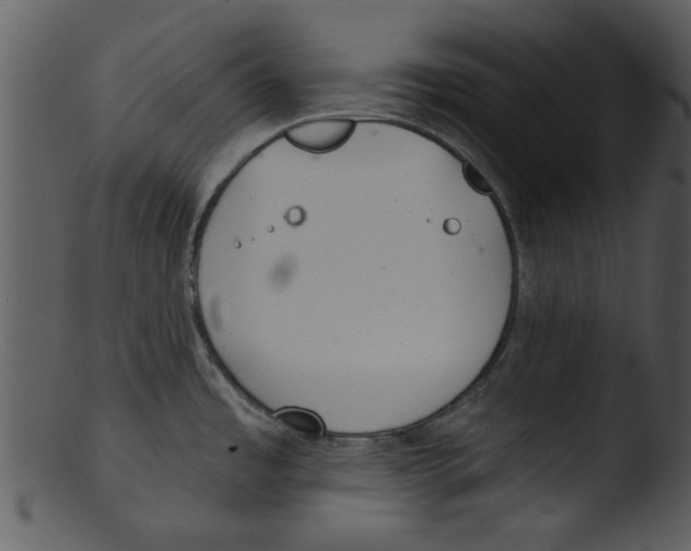 X0000103241485200809251316