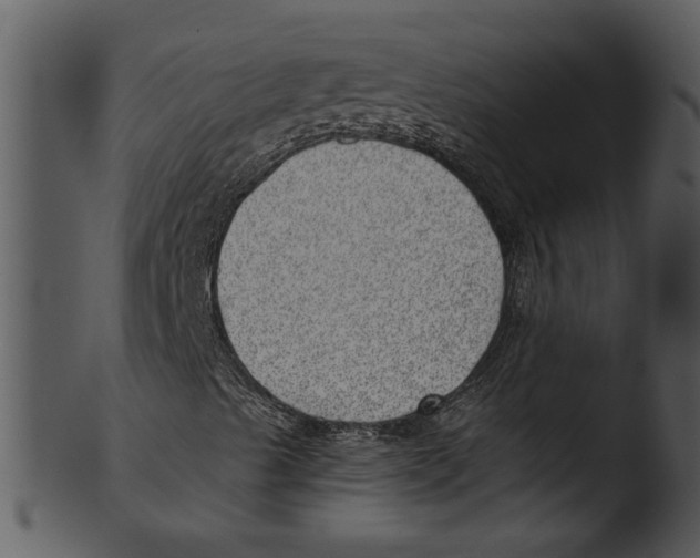 X0000103241489200809251315