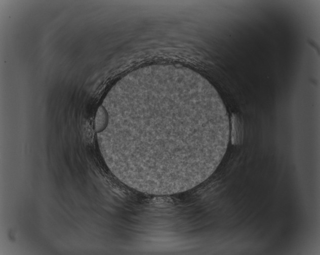 X0000103241491200809251315