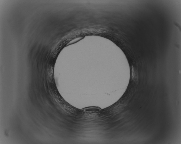 X0000103241492200809251315