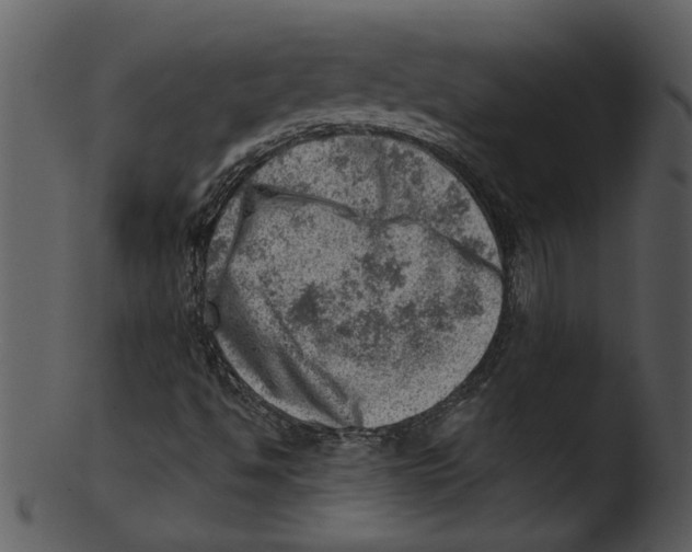 X0000103241494200809251315