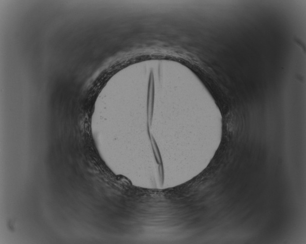 X0000103241495200809251315