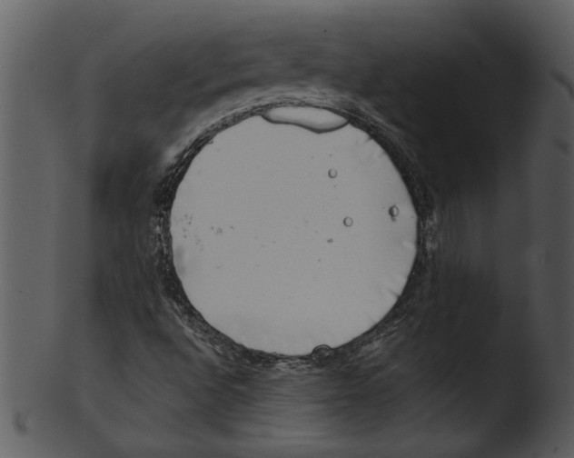 X0000103241496200809251315