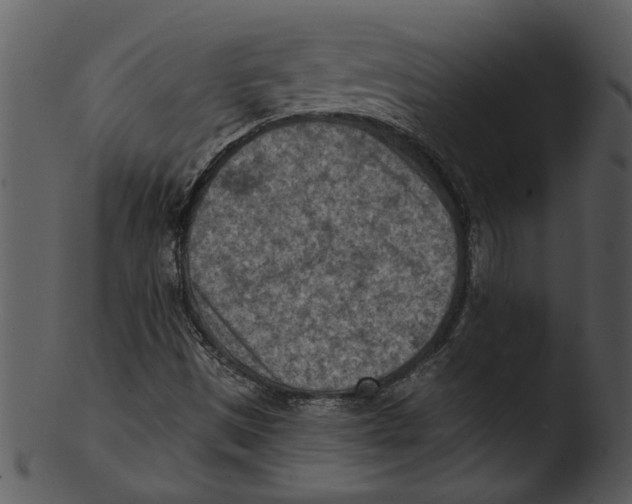 X0000103241497200809251315