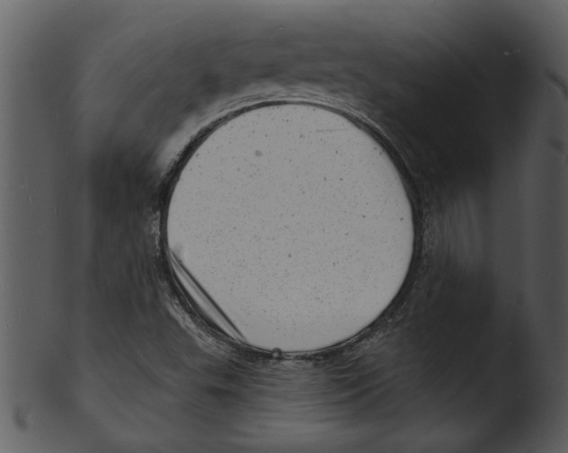 X0000103241503200809251315