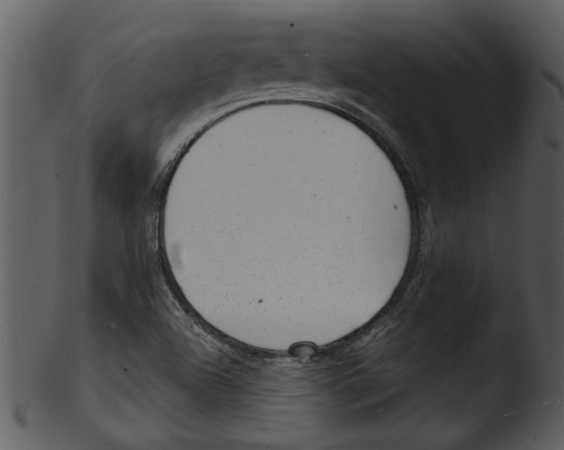 X0000103241504200809251315