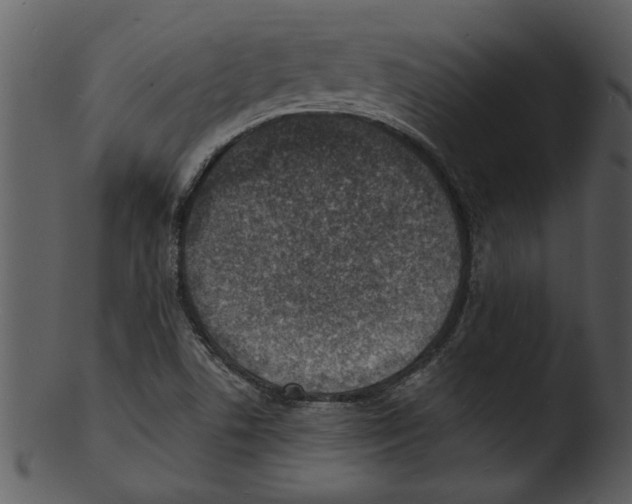 X0000103241506200809251315