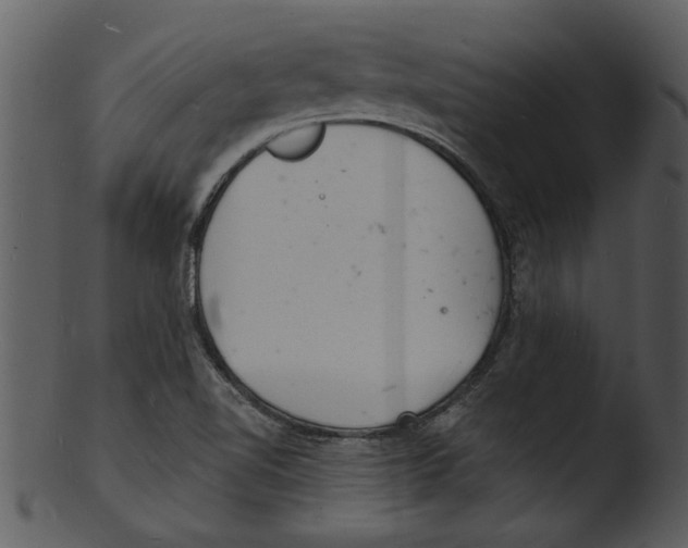 X0000103241510200809251315