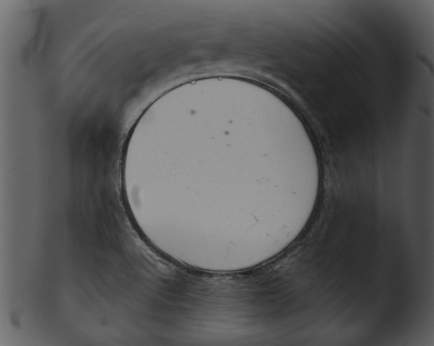 X0000103241512200809251315