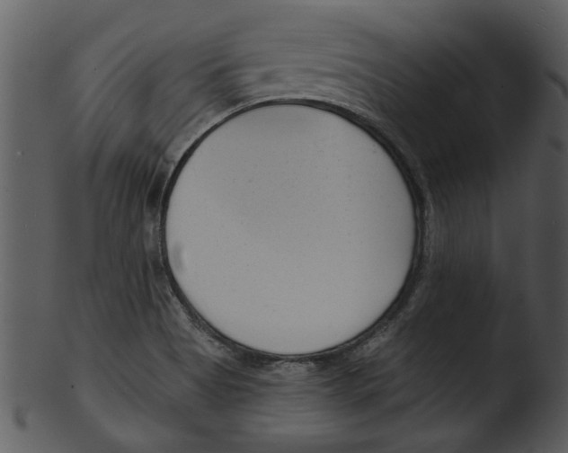 X0000103241513200809251315