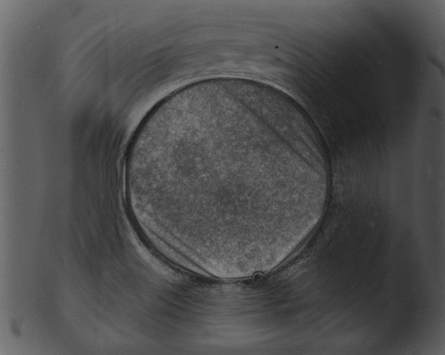 X0000103241515200809251315