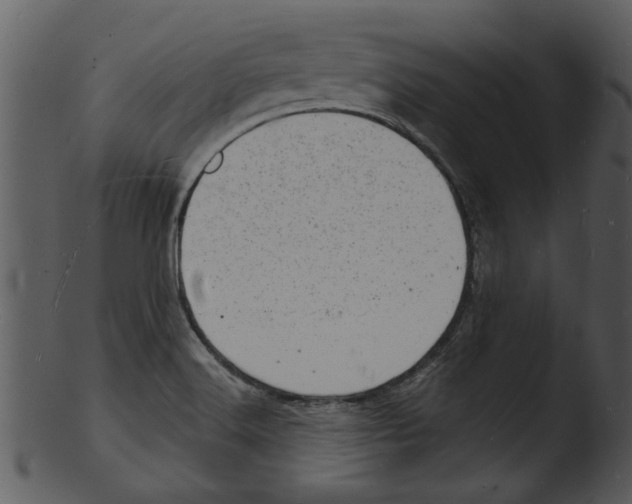 X0000103241516200809251315