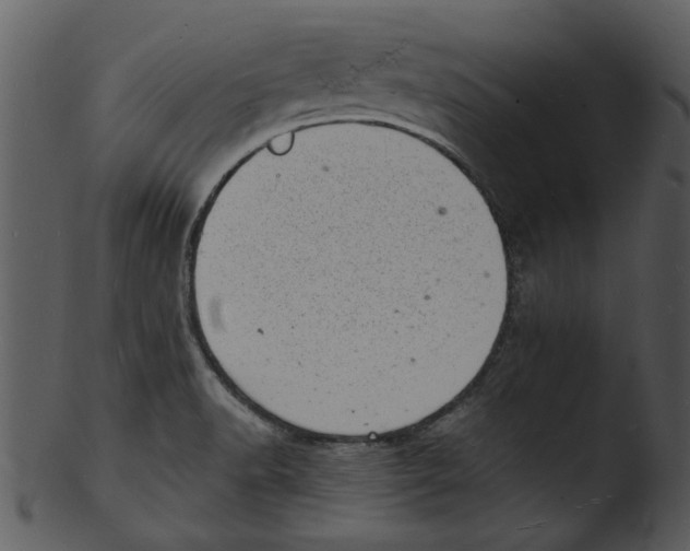 X0000103241518200809251315