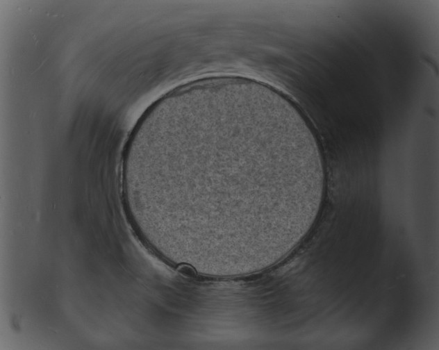 X0000103241519200809251315