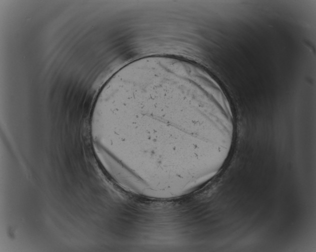 X0000103241521200809251315