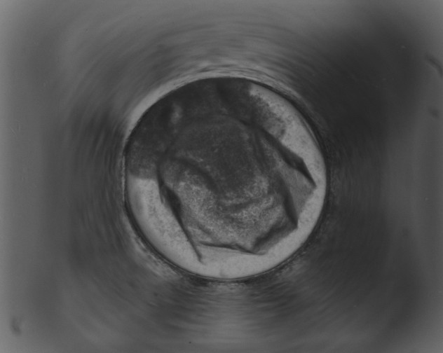 X0000103241522200809251315