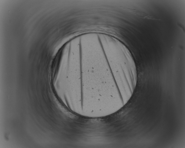 X0000103241523200809251315