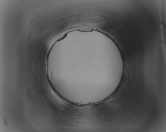 X0000103241524200809251315