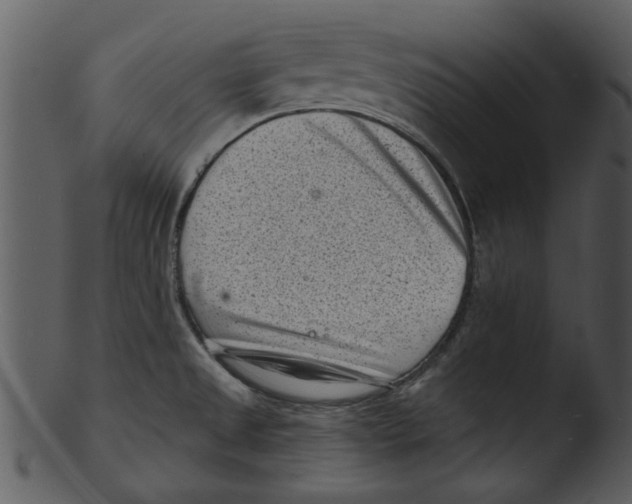 X0000103241525200809251316