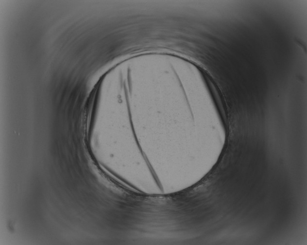 X0000103241526200809251316