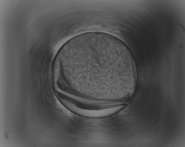 X0000103241527200809251316