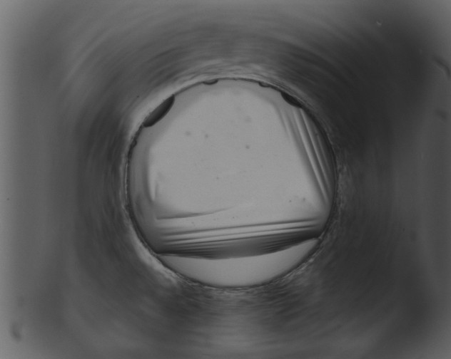 X0000103241528200809251316