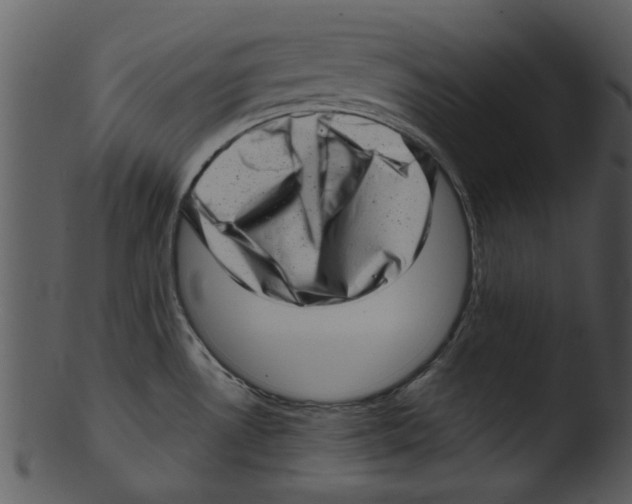 X0000103241530200809251316