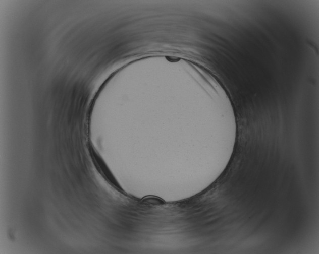 X0000103241531200809251316