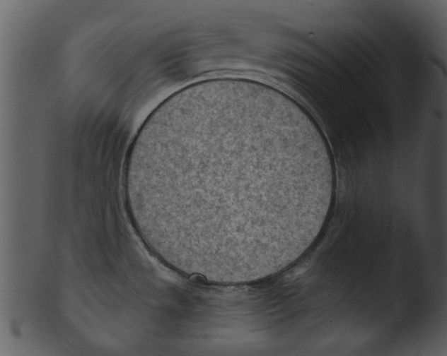 X0000103241533200809251316