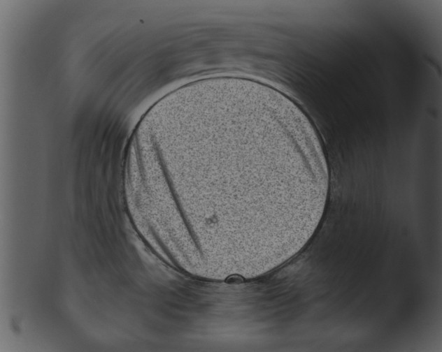 X0000103241534200809251316