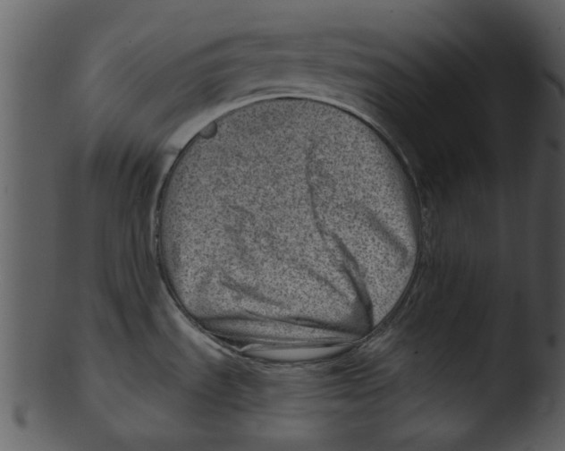 X0000103241535200809251316