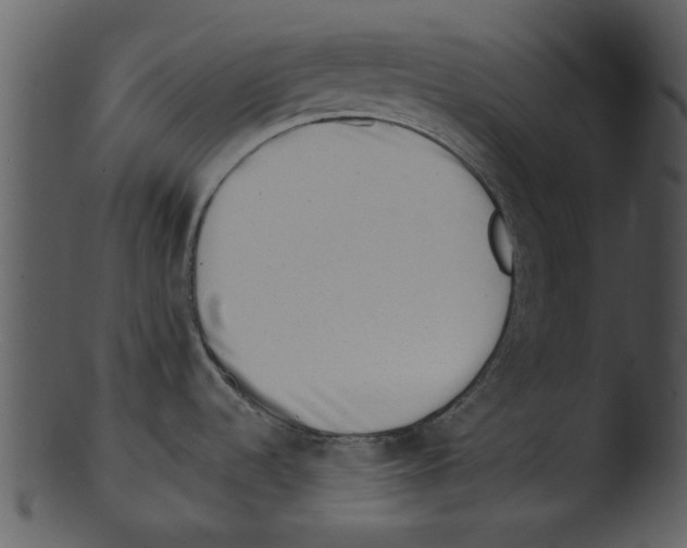 X0000103241536200809251316