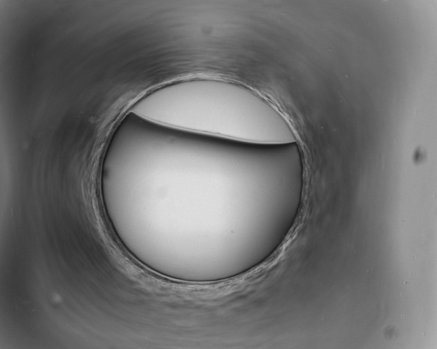 X0000103250001200808281107