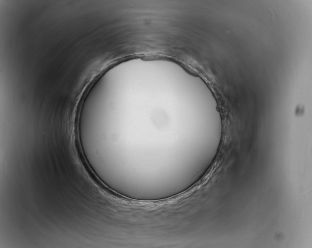 X0000103250002200808281107