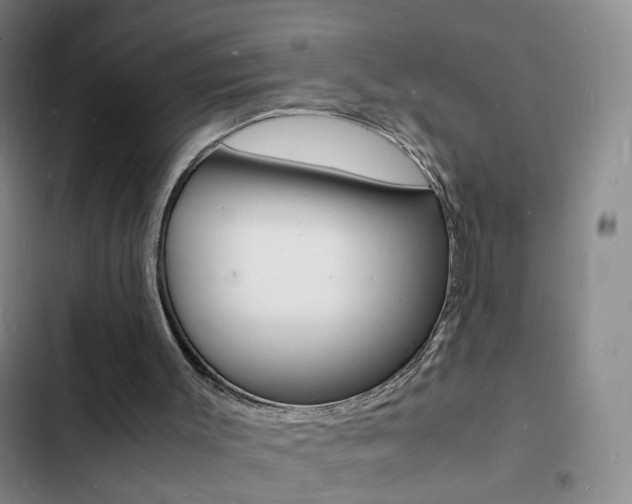 X0000103250003200808281107