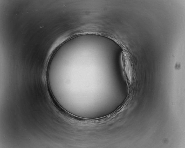 X0000103250004200808281107