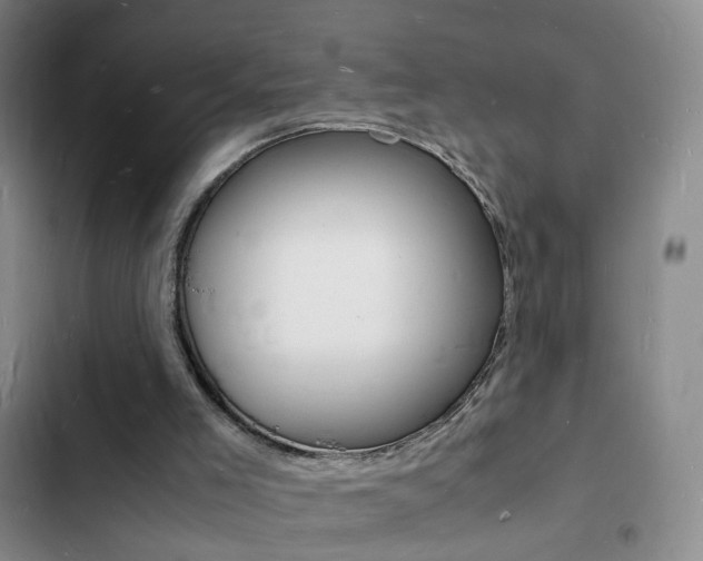 X0000103250005200808281107