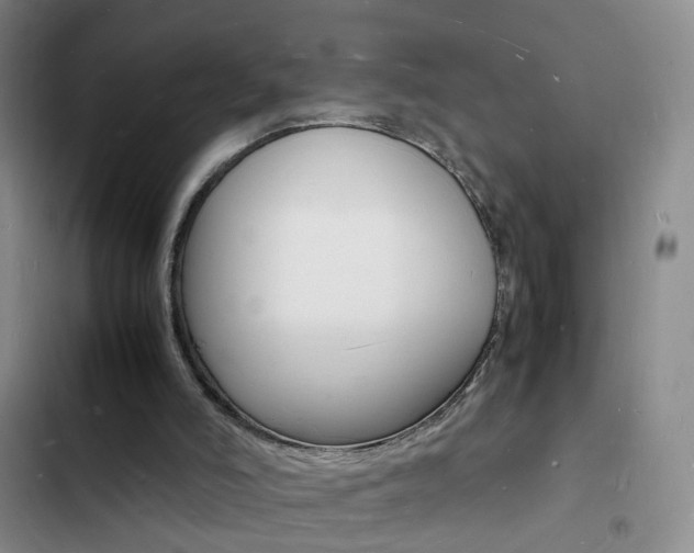 X0000103250006200808281107