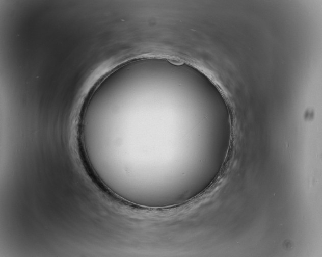 X0000103250007200808281107