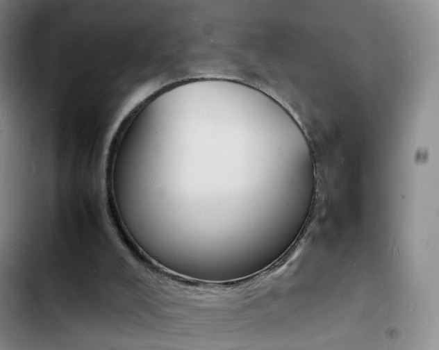 X0000103250008200808281107