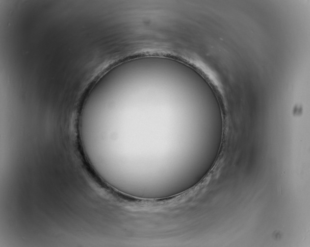X0000103250009200808281107