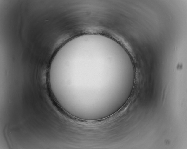 X0000103250010200808281107