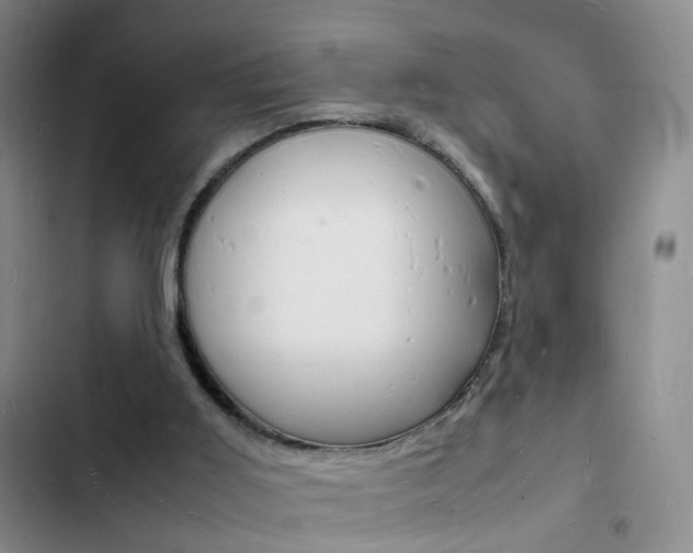 X0000103250011200808281107