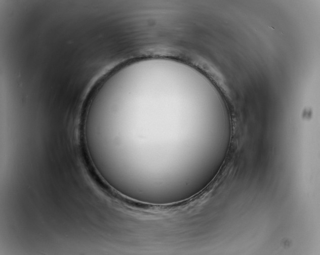 X0000103250012200808281107